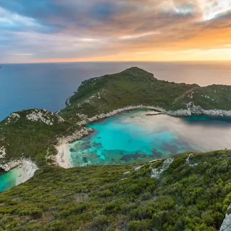 Durrell * Κοντόκαλι